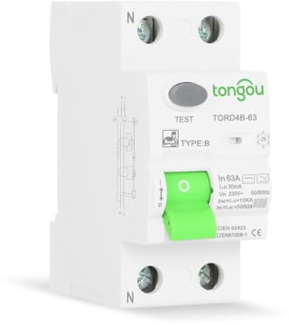 FI-Schutzschalter Typ B AC/DC / 63 A - 30 mA / 2-polig / 10KA / 230V / Ladegerät Elektroauto/Fehlerstromschutzschalter TONGOU