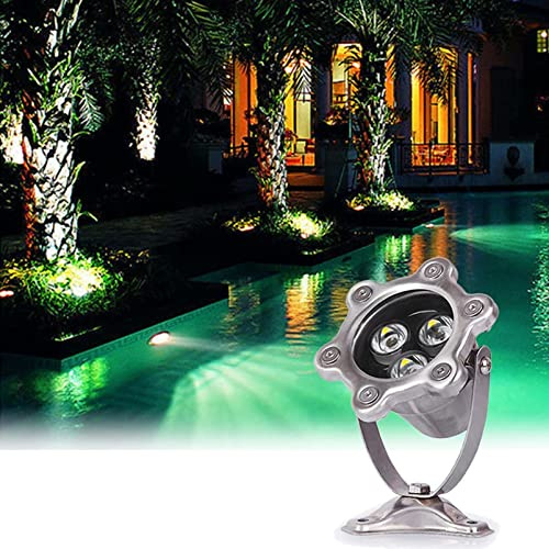 GUODDM Undervattensspotlight, IP68 vattentätt undervattensljus, poolbelysning, färgglad RGB-källa, för dammar, landskapsbelysning (varm vit, AC220V (3W))