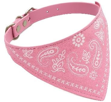 Collier réglable pour Chat – Léger, Confortable et sécurisé – Idéal pour intérieur et extérieur – Tour de Cou 20-26 cm – Design élégant pour félins (Rose)