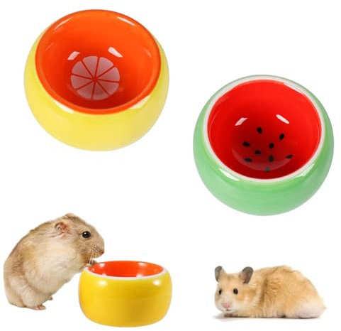 bangminda Ciotole per Criceti in Ceramica 2PCS Criceto Ciotola Piatto di Cibo da Roditori Ciotola Acqua per Piccoli Animali Uccello Riccio Gerbilli Pappagallo (Arancia + Anguria)