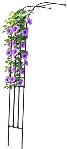 Arco da giardino per piante rampicanti, traliccio in metallo resistente, per rose, pergola da esterno, disponibile in 60 misure da 300 cm, elegante finitura nera (L120 x W40 x H240 cm)