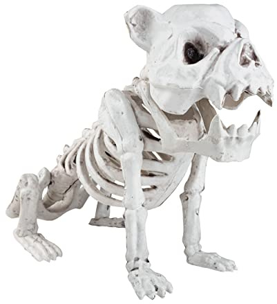 SCS Direct French Bulldog Dog Halloween Skeleton (2 Pack) - Large 10 Long - Weather Resistant Yard Decorations w Movable Jaws - Great Graveyard Prop for Party Decor and Indoor/Outdoor Use
