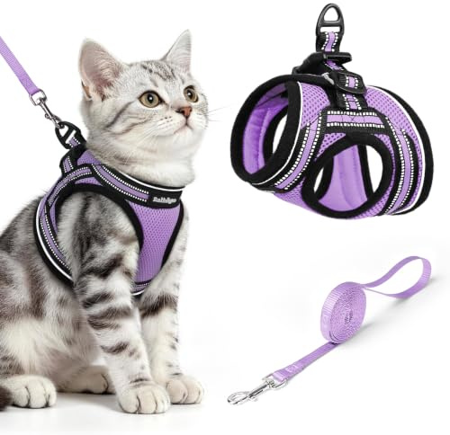 rabbitgoo Pettorina Gatto Antifuga, Guinzaglio Gatti Regolabile, Imbracatura Ultra-Leggero Morbido Riflettente per Cucciolo, Gattini e Gatto Piccolo, Pettorina per Passeggio e Corsa, M, Viola Chiaro