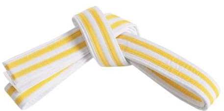 Mastery Little Dragons (White belt/double yellow stripe, 0)