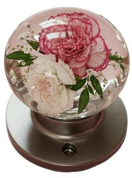 Genérico Pomo Para Puertas - Pomos Redondos Retro Para Interiores,Pomos Antiarrayazos Decorativos Para Dormitorio Decoración Artística Para Estudio Apartamento Cuarto De