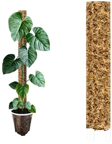Nils der Växtvän mosspinne [PlantScraper] 40 cm (L) / 10 stycken/klar | Växtpinne | Moss Pole | Spaljstav | utbyggbar mossa | mossa stavar | plantstolpe inomhus | mossstav för monstera
