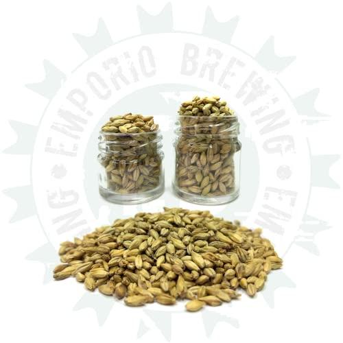 BEER KIT HOMEBREWERS | Kit per Fare Birra Pilsner Completo di bottiglie e tappatrice | Fast Beer in pochi giorni | Preparazione con Malto e Luppoli - Fermentazione in Fusto - Materiali MADE IN ITALY