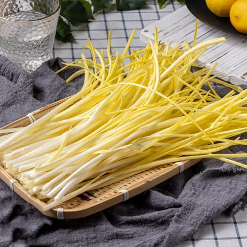 semillas de ajo cebollino - jardín interior organicas 500pcs