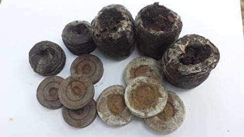 Portal Cool Jiffy 7 de 44 mm X 42 mm de turba/Compost Plug Pellets X 50