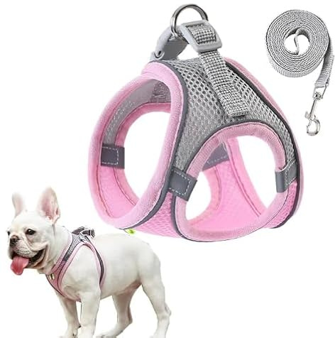 Andningsbar lätt inget drag hundsele liten storlek hund, Step-in mjukt nät valpsele med reflekterande ränder, flyktsäker valpväst sele för små hundar/katter för promenader träning