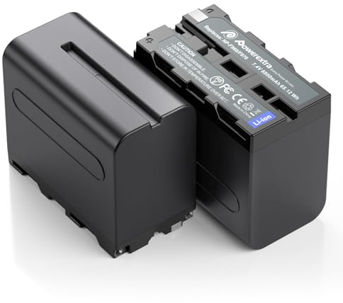 2 Pack Replacement NP-F970 Battery Compatible with Sony DCR-VX2100, DSR-PD150, DSR-PD170, FDR-AX1, HDR-AX2000, HDR-FX1, HDR-FX7, HDR-FX1000, HVL-LBPB, HVR-HD1000U, HVR-V1U, HVR-Z1P