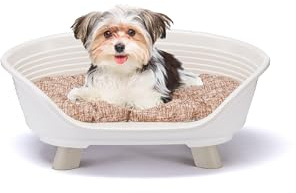 Ferplast Lit surélevé en Plastique pour Chien et Chat avec Coussin en Coton, lit Lavable en Plastique Respirant et antidérapant, Motif Throne 61,5 x 45 x h 26 cm, Blanc