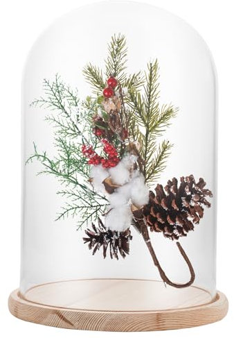 APACALI 1PCS Cloche en Verre avec Fond en Bois, Cloche décorative de 30 cm, Cloche en Verre Transparent, Cloche en Verre avec Fond pour lumières, décoration, Accessoires d'intérieur