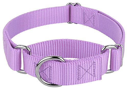 Martingale Dog Collar - Heavy-Duty Training Collar with No Buckle - Service Dog Collar for All Pups - 20 Vibrant Colors (Lavender, 1 Inch, Medium)