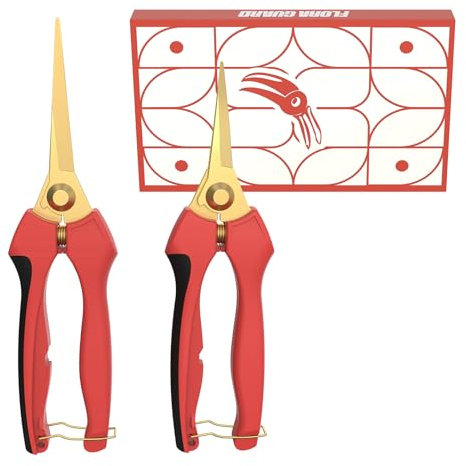 FLORA GUARD Jeu de Sécateurs de Jardin Professionnels 2 pièces – Ciseaux à Fleurs et à Roses avec Lames Incurvées Revêtues de Titane, Ciseaux de Cueillette pour Bonsai, Fleurs, Fruits et Légumes