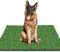 STARROAD-TIM 80*98 CM Kunstrasen Outdoor Hundeklo für Zuhause Hundetoilette Wohnung Hundetoilette Balkon Wiederverwendbare Trainingsunterlagen für Hunde Waschbar Haustier-Urinunterlage Rasen Dekoratio