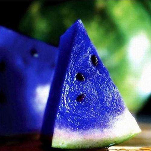 Benoon Semillas De Sandía, 1 Bolsa Semillas De Sandía Semillas De Frutas De Sandía De Color Mezclado Rústico Para Granja Azul Semillas de sandía