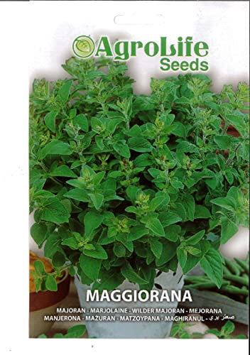 SEMI SEMENTI DI MAGGIORANA IN BUSTINA