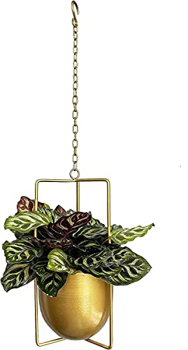 JUSUFU Metall-Pflanzenaufhänger, hängende Pflanzgefäße für den Innenbereich, goldfarben