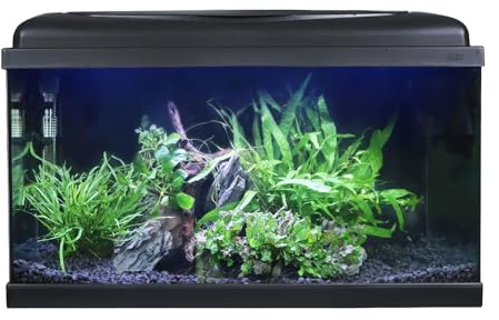 Swell Aquarium 60cm Tropical Freshwater LED Fish Tank Kit 54ltrs
