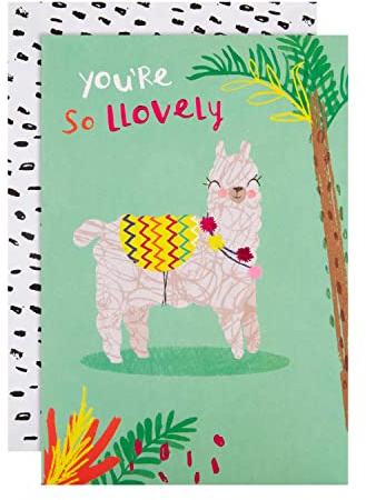 Hallmark Any Occasion Card - Contemporary Quirky Llama Design