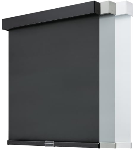 JaeJaes Cordless Blackout Roller Shades,Pull Down Free-Stop Window Roller Shades,Thermal Insulated Fabric,UV Protection,Blinds for Bedroom and Office (Black, 23 W x 72 H)