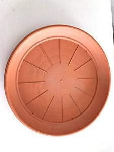 PEBSHOP Runder Blumentopf oder Untersetzer aus Terrakotta (Untersetzer Ø 52 x 6,5 cm x Topf Ø 60 cm)