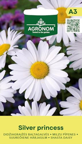 AGRONOM | Graines de Marguerite Shasta - SILVER PRINCESS | Graines de fleurs | Graines de plantes | Plante vivace, riche et longue floraison, facile à cultiver | Graines de jardin | 1 paquet