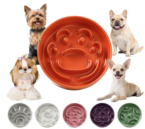 Gamelle pour Chien Anti glouton en céramique - Bol Labyrinthe pour Alimentation Lente - Idéale pour Petits Chiens - Adapté à croquettes & Nourriture Humide - 80 g - 16 cm - Orange
