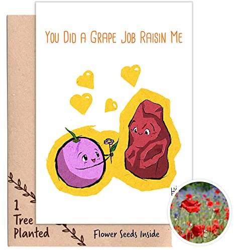 1 Tree Cards GC Plant a Tree Gift with Plantable Seed Card that Grows Flowers | Recycled Birthday, Thank You, Anniversary Card | Gift Card for Eco Warrior, Husband, Aunt, Uncle (Raisin Me)