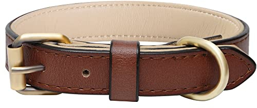 Adjustable Genuine Soft Leather Dog Collar of Padded Best for Small Medium Large Breed Dogs(M, Brown)