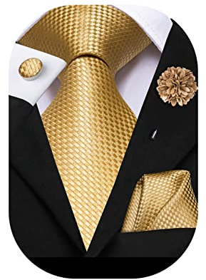 Hi-Tie Gold Ties for Men Silk Mens Ties Flower Lapel Pin Set 4 PCS Geometric Necktie Pocket Square Cufflinks for Wedding