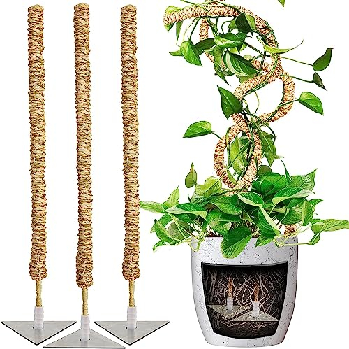 JonesHouseDeco Biegsame Moss Stange, 76cm 3Pack Sisal Seil Stick für Kletterpflanzen nach Oben wachsen. Coir Totem Pole Stake, Zug Indoor-Topfpflanzen Monstera Philodendron Creeper