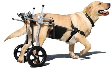 Yinian 2 Ruote Regolabile Cane Gatto Animale Domestico Anziano Carrello di Alimentazione Arti Posteriori Scooter Animale Disabile Reinserimento Carrelli per Cani Grandi(Size:M（15-20kg）)