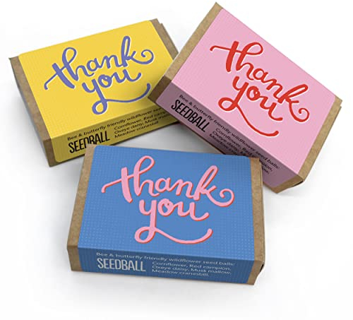 SEEDBALL Thank You Gifts Wildflower Seeds | Set of 3 Boxes with 6 Wild Flower Seed Balls Per Box | Bee Friendly British Wildflower Seed Bombs for Bees, Butterflies & Garden Wildlife