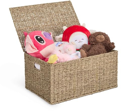 Dwellica Nivora Seagrass Storage Trunk with Lid, 19.7 x 13.8 x 9.8 Inches, Brown – Woven Organizer Basket for Nursery Toys, Office Supplies, Laundry Basket, or Living Room Storage