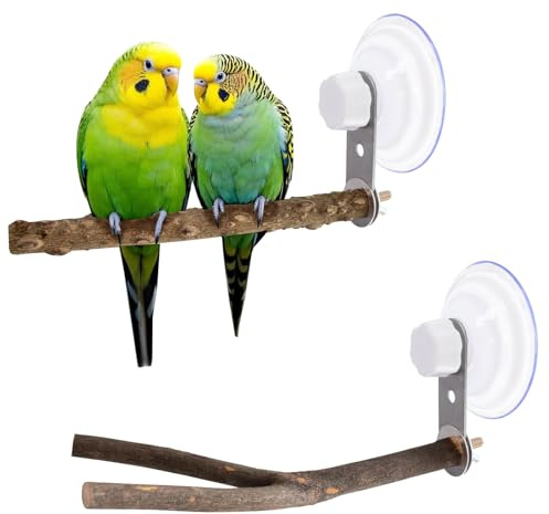 2 Pièces Oiseau Perche Naturel Bois Stand avec Deux Ventouses Supports De Perchoir en Bois Nature, pour FenêTre, Miroir, Voiture, Douche, CéRamique, Bain,