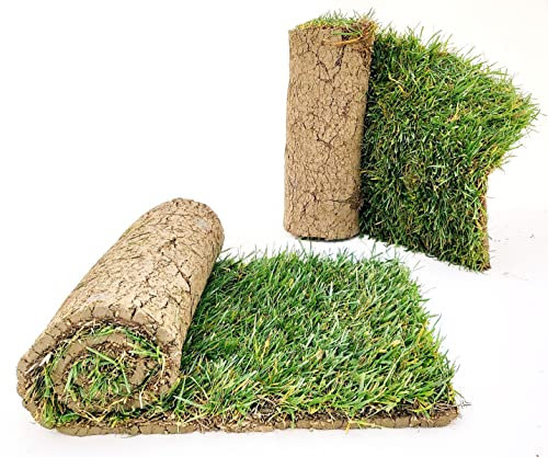 POWERS TO FLOWERS - PRATO A ROTOLI, ERBA A ROTOLO VERA, ERBA DA GIARDINO, 9 ROTOLI DA 40cm x 123cm, pianta vera