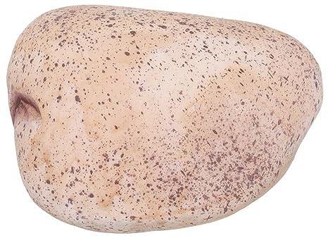 CIMAXIC Schlüsselbox Für Den Außenbereich Kunststein Für Schlüssel Verstecktes Fach Zur Aufbewahrung Von Gegenständen