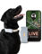 PAJ Tracker for Dogs - 4G - Runaway Alarms + UK & Worldwide Live Tracking - Up to 10 Days Battery Saving Mode - Dog Recall - with Illuminated LEDs - Waterproof (IP67) - Fits Any Collar - Grey
