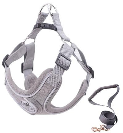XFSRG Harnais Chien RéFlé Chissant Respirante Harnais Anti Traction Chaîne Laisse pour Chien Fournitures pour Petit Moyen et Grand（Gris M）