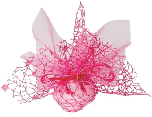 Ingrosso e Risparmio 25PZ Sacchettino Bomboniera in Rete con Velo in Organza e Tiranti Colori Assortiti Eventi Comunione Cresima Matrimonio Nascita Fai da Te (Fucsia)