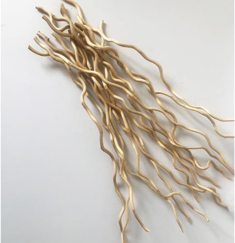 Branches de Saule Bouclé Séchées Naturelles, 58 cm, 15 tiges Brindilles Ondulées Décoratives pour Décoration Intérieure Rustique (Beige)