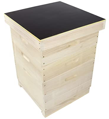 Dadant US Beute 12er aus Massivholz für Imker Bienen, exkl. Rähmchen