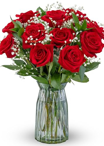 Benchmark Bouquets - Red Roses Bouquet - Fresh Flowers for Delivery - Mothers Day Flowers - One Dozen Long Stem Roses - Real Roses - Mothers Day Gifts for Mom (Glass Vase Included)