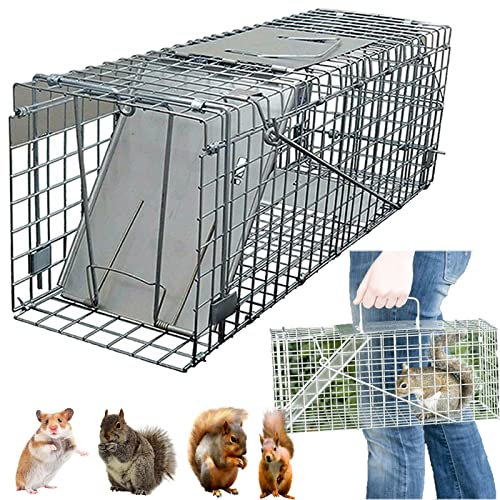 Animal Trap Cage Large Humane Mouse Traps & Rat Traps Animal Pet Control for Indoor and Outdoor Use, Home & Animal-Friendly Reusable Rat, Mouse, Squirrel, Mole, Rodent Solution, 24 x 7.5 x 8.3 inch