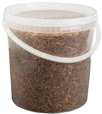 Premium Dried Mealworms, 10 Litre Bucket