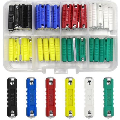 GOIYZTTR 60 Pezzi Fusibili Siluro Set Fusibile per Auto Multicolore 5A, 8A, 10A, 16A,25A,30A Micro Fusibile Adatto per Auto d'Epoca Europee