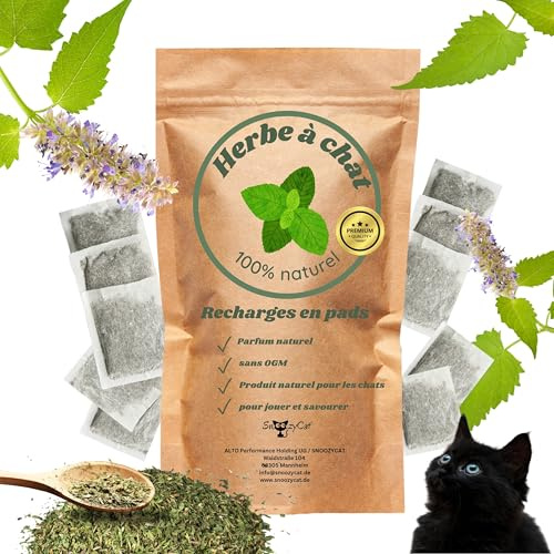 Kattmynta påfyllningsdynor – 10 stycken – 100 % naturliga örter för påfyllning för kattleksaker, gör-det-själv-kuddar och klösträd – handgjorda i Tyskland