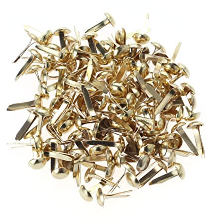 NUOBESTY 100 Stück Kleiner Brads Pastellfarben Kleiner Rundstifte Metallstifte Für Scrapbooking Basteln Fotoaufbewahrung